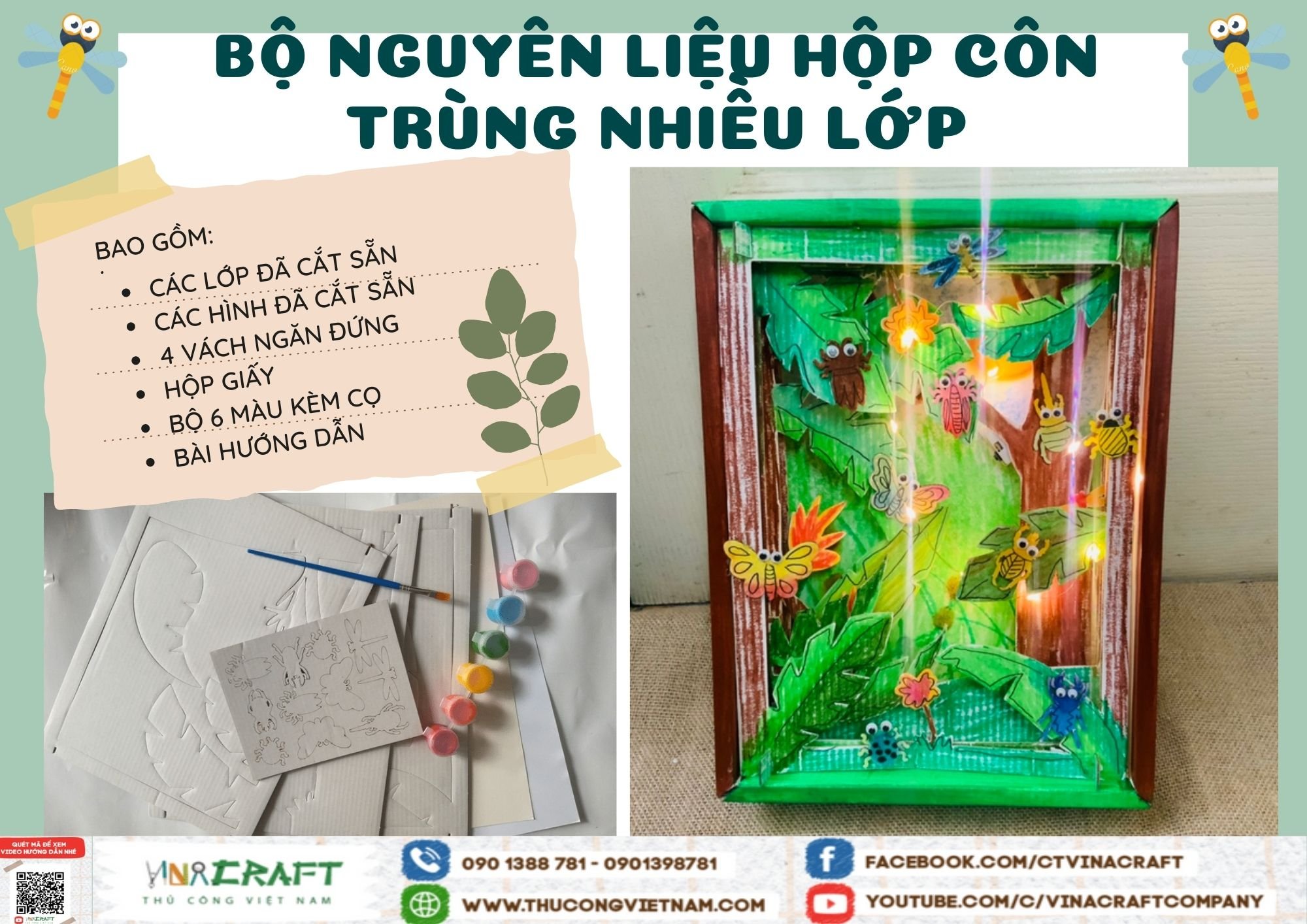 Bộ nguyên liệu hộp côn trùng nhiều lớp 